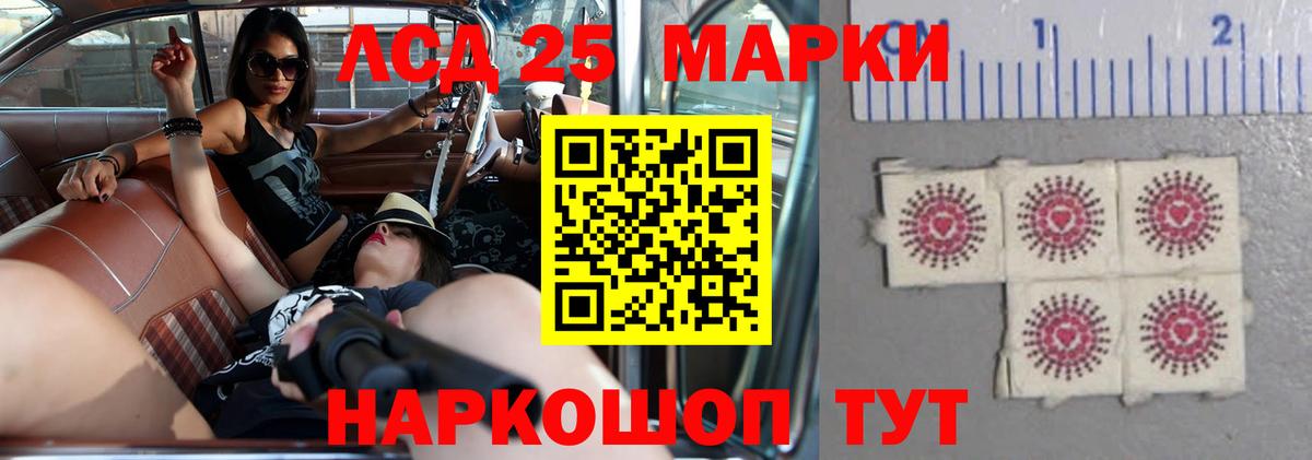 Псилоцибиновые грибы Майкоп