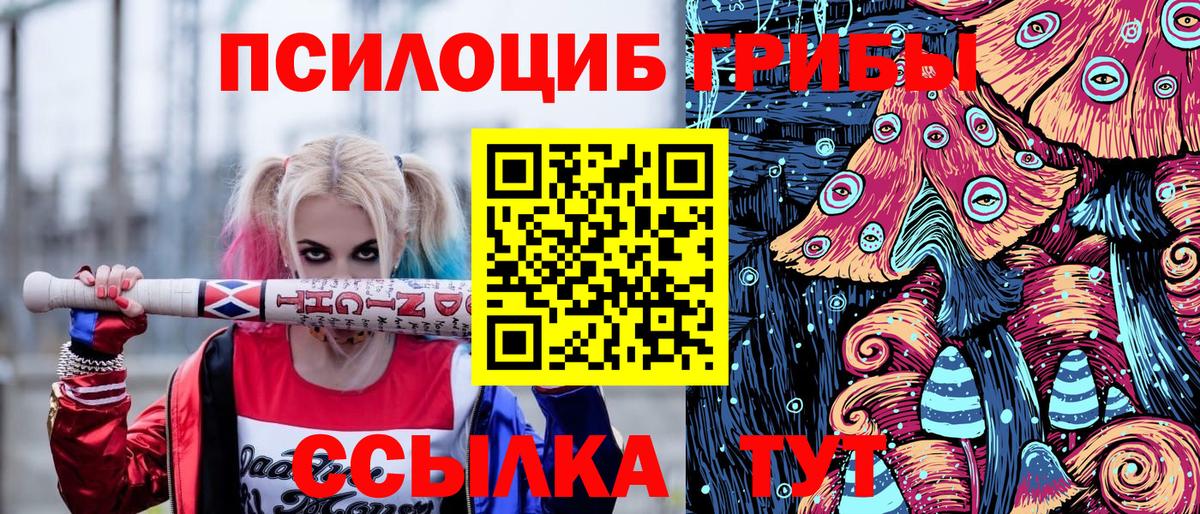 Майкоп  Псилоцибиновые грибы Psilocybe  Вход с VPN 