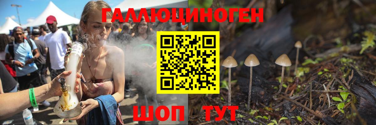 Галлюциногенные грибы MAGIC MUSHROOMS Майкоп